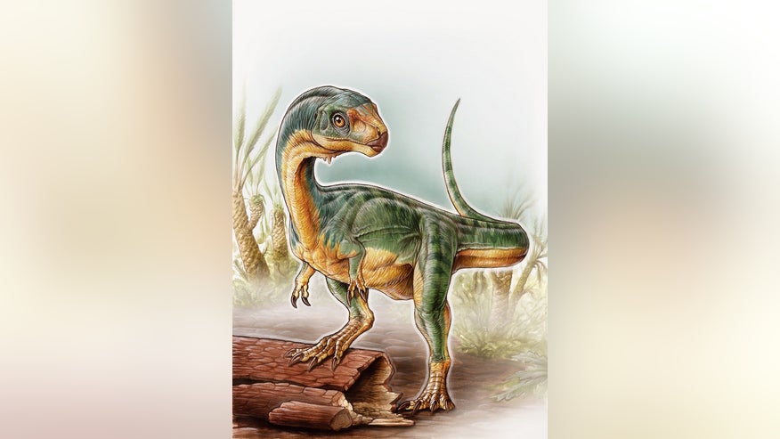 herbivore-theropod-2