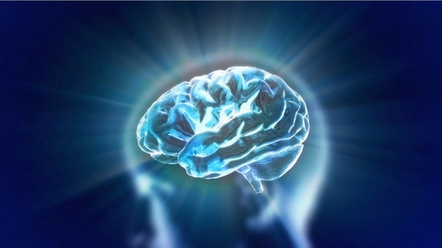 human-brain