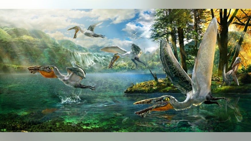 ikrandraco-ptrerosaur-illustration