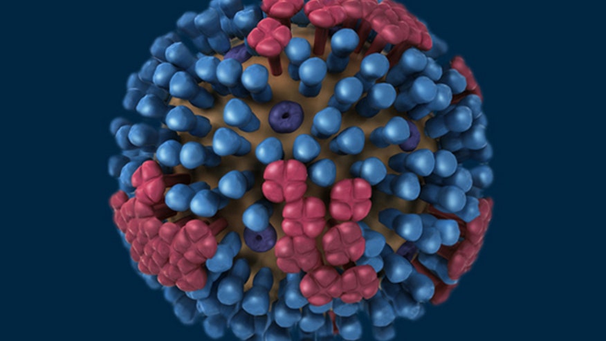model-flu-structure