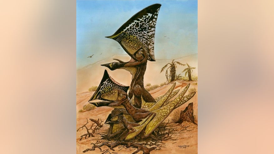 pterosaur-reptiles