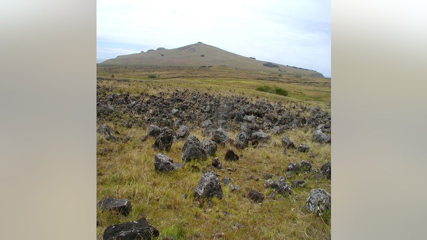 rapa-nui-rock-garden