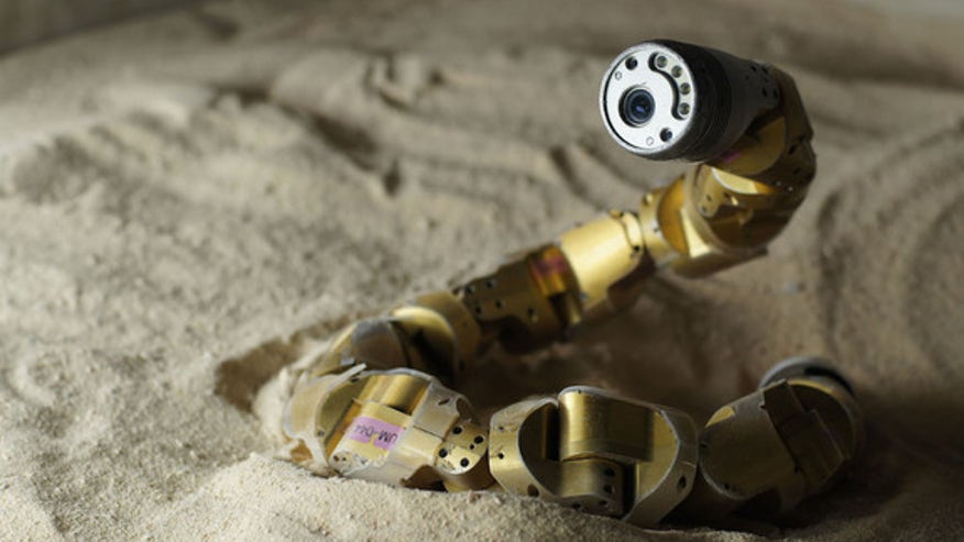 robot-snake
