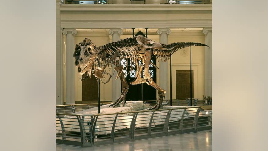 sue-trex-skeleton