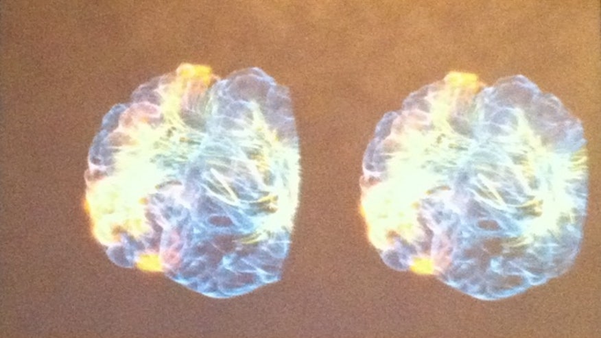 virtual-reality-brain-interior
