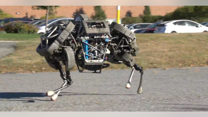 wildcat-darpa