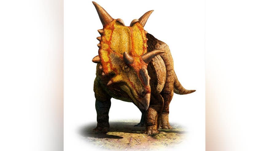 xenoceratops-horned-dinosaur