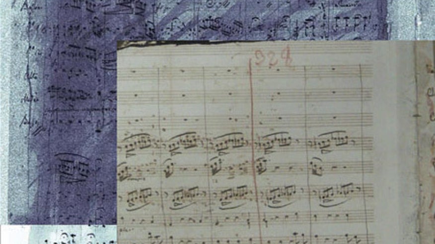 xray-cherubini