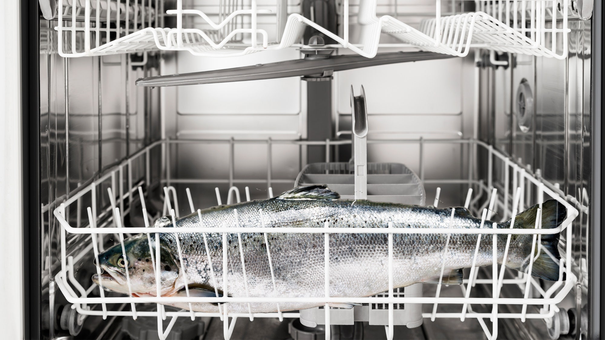 Cook Dinner in Your Dishwasher? Cool Hacks for Kitchen Appliances Fox