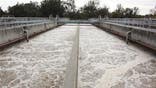 In your city's sewage: millions in gold, silver