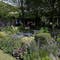 Dad: Son brushed up against poisonous plant, died