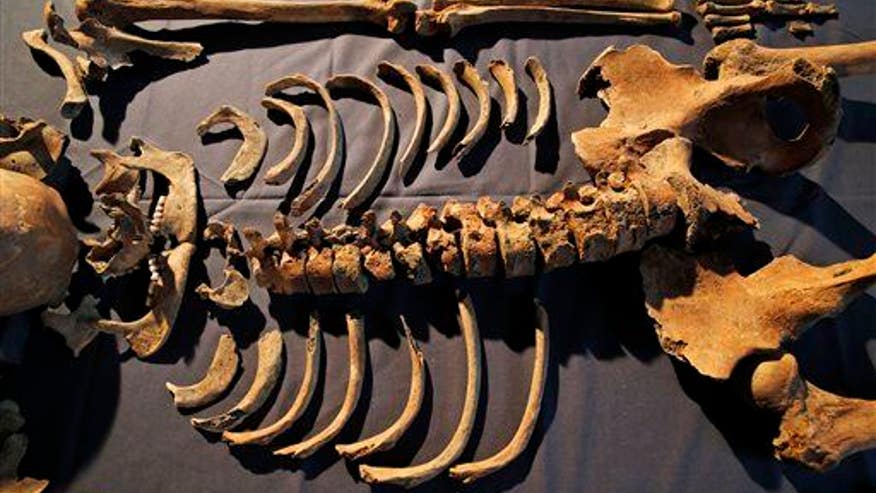 Black Death wasn't actually bubonic plague, study finds
