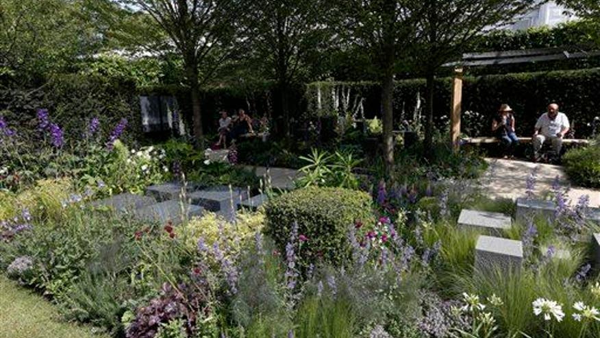 Dad: Son brushed up against poisonous plant, died