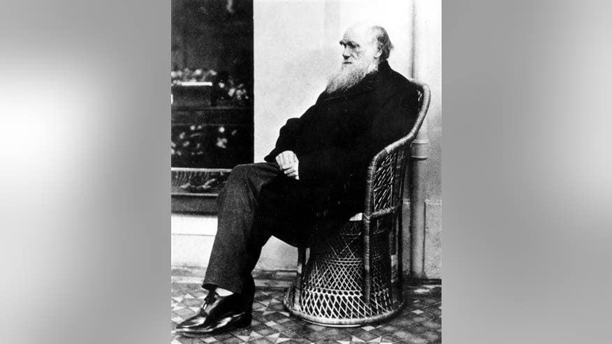 Darwin's 'strange animals' puzzle finally solved