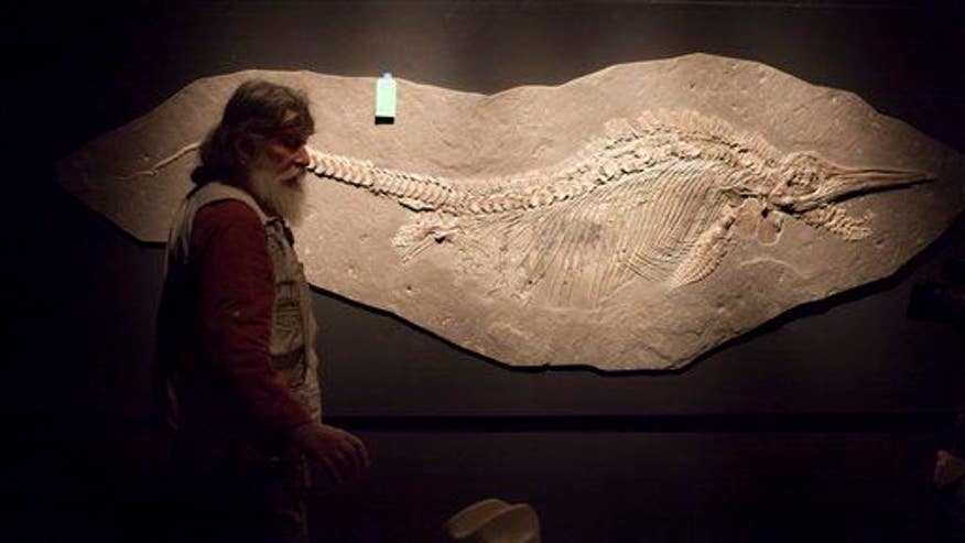 Fossil revelation: a Scottish sea monster