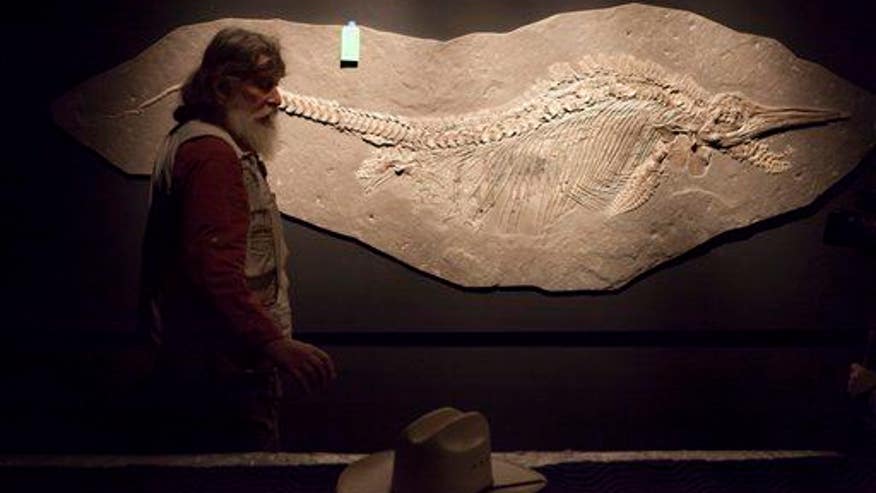 Fossil revelation: a Scottish sea monster