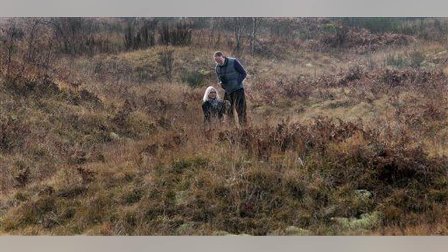 Mysterious mounds: not created by animals after all?