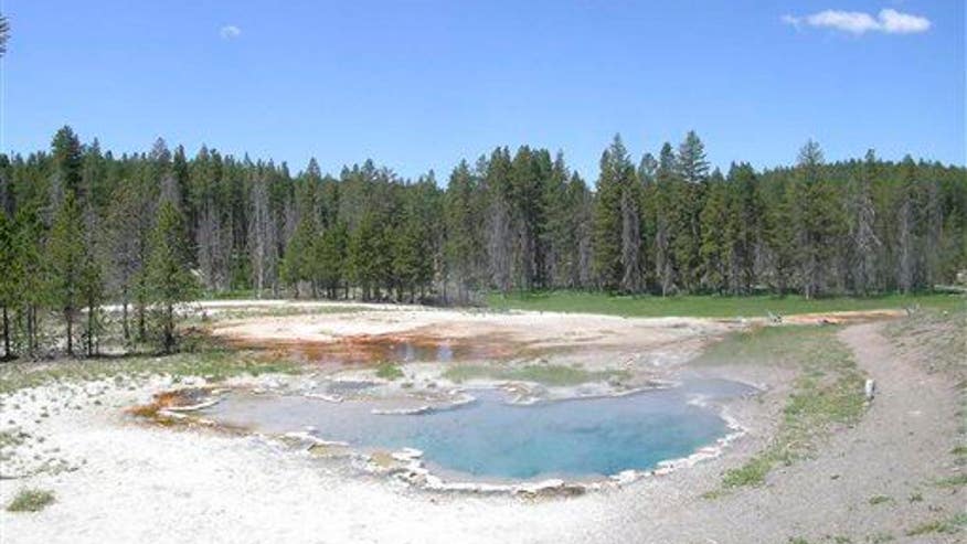 Tourist's drone crashes in prized hot spring at Yellowstone