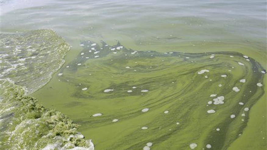 Toxic water in Ohio is a 'routine' problem