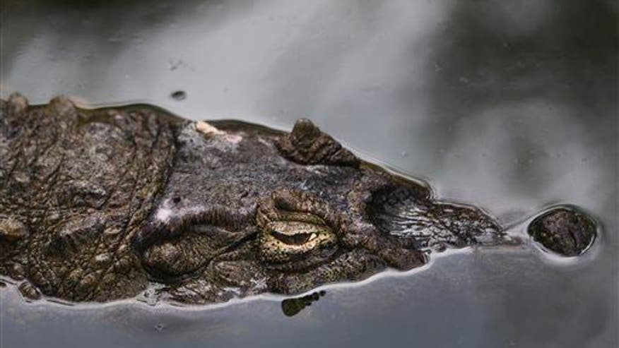 Woman jumps into crocodile pit to commit suicide