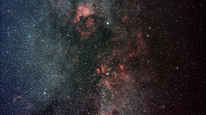 Cygnus-skywatching-knutson