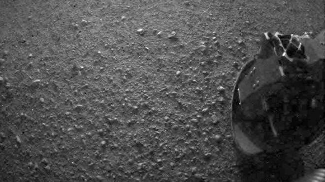 early-curiosity-photo