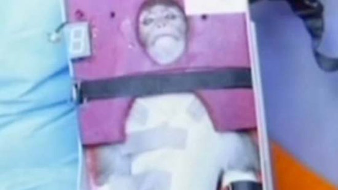 iran-space-monkey-1