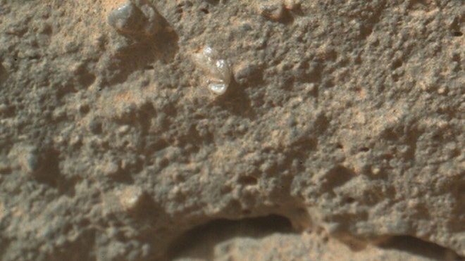 mars-flower-curiosity-closeup