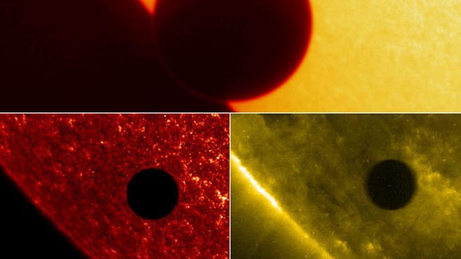 Nasa venus transit - news and photos