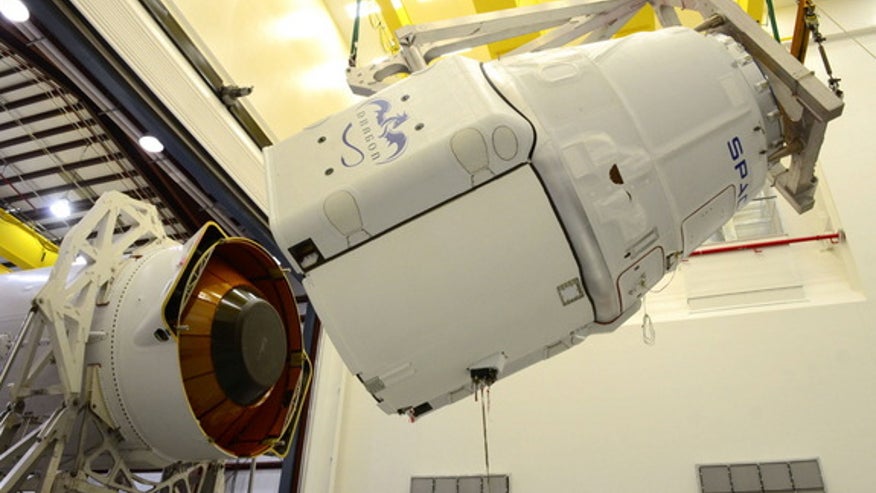 crs-3-dragon-mating