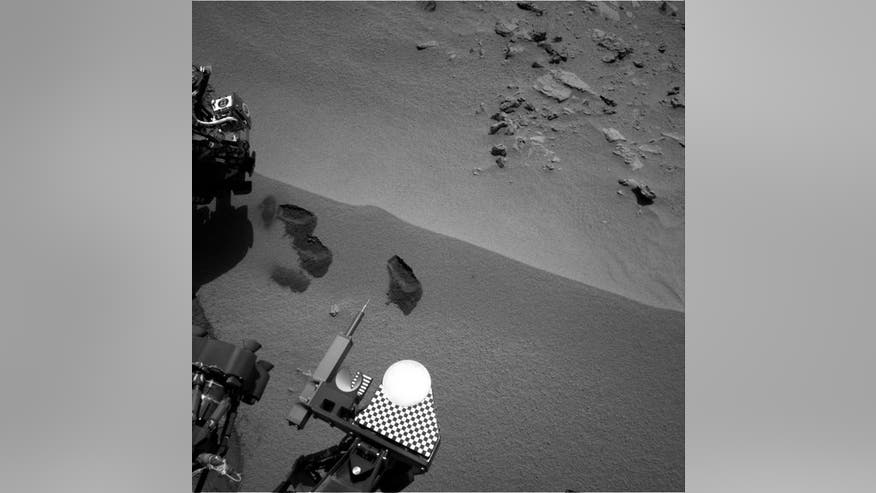 curiosity-1st-3-bites