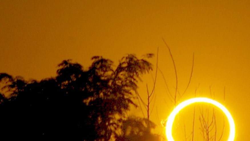 dykstra-roswell-eclipse-bird