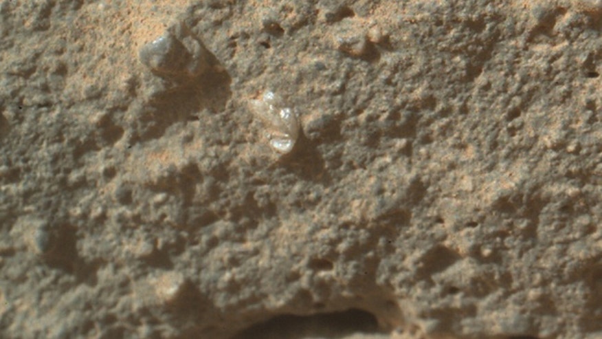 mars-flower-curiosity-closeup
