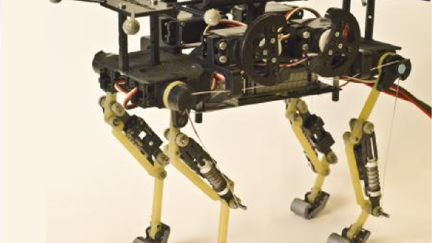 RobotCat2
