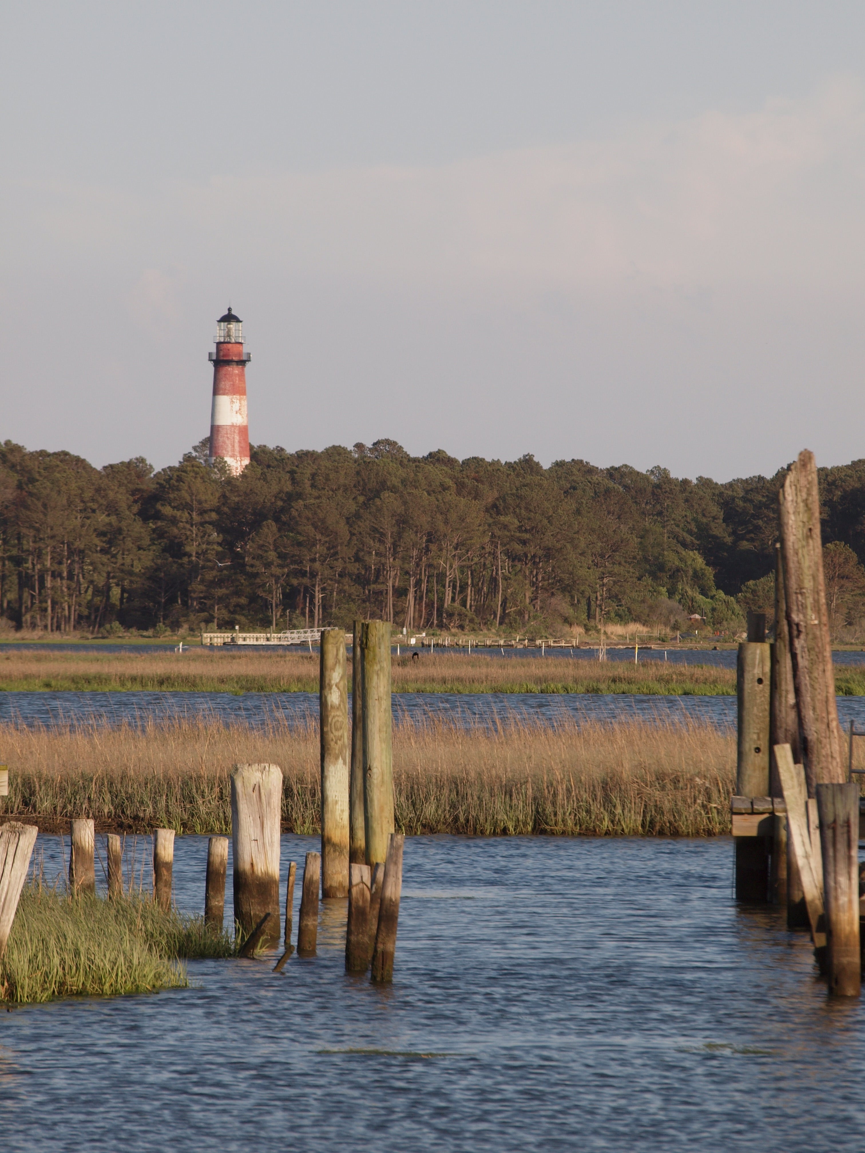chincoteague island dating site The chincoteague pony is a hardy breed that breed originates on the atlantic island of assateague the breed varies greatly in type and there is no true breed standard natural selection and. chincoteague island dating site The chincoteague pony is a hardy breed that breed originates on the atlantic island of assateague the breed varies greatly in type and there is no true breed standard natural selection and.