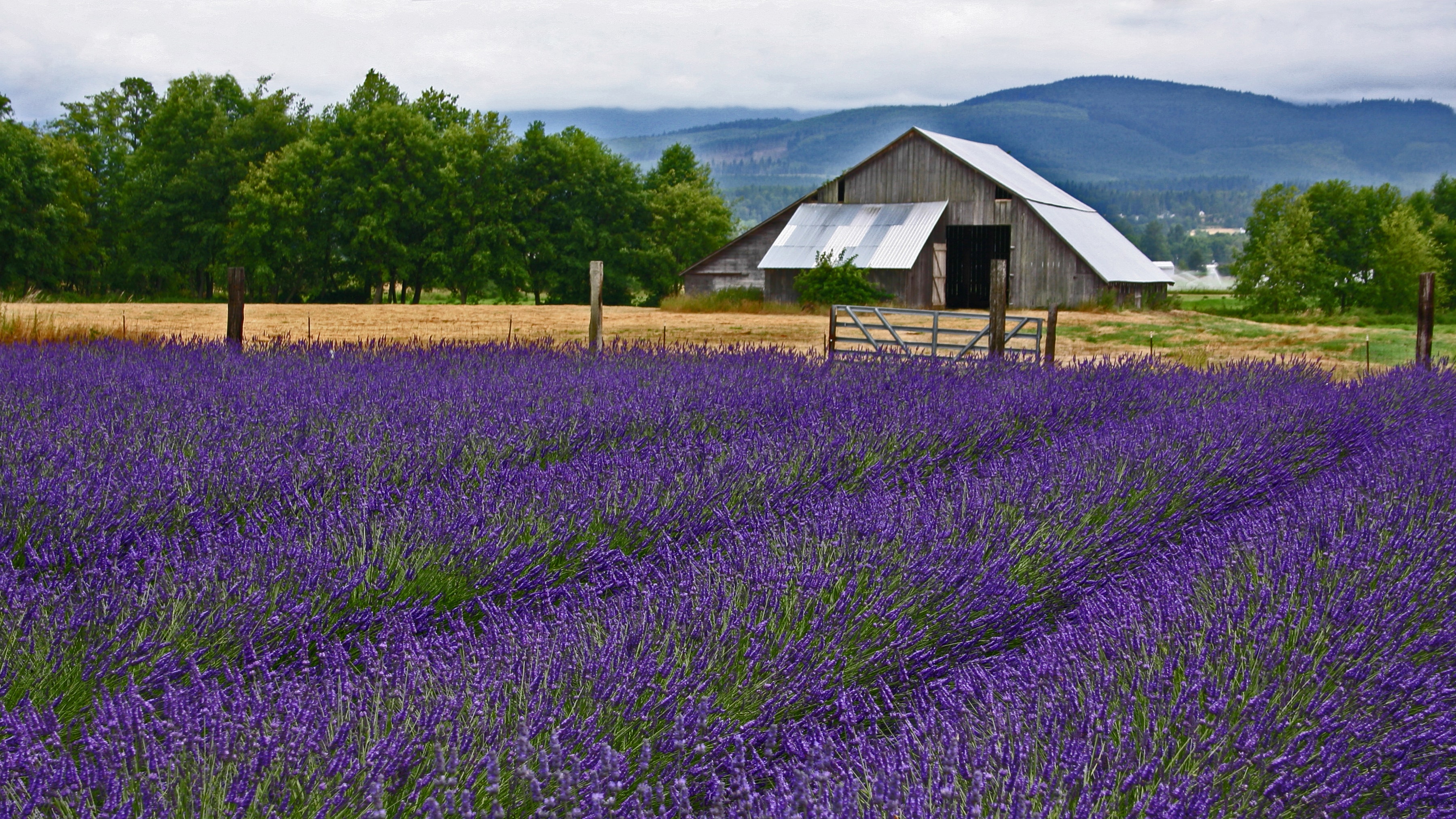 America’s top 10 most commonly mispronounced towns and cities | Fox News3600 x 2024