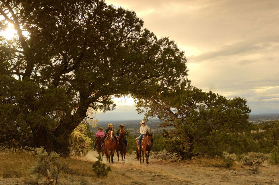 Top 10 Wild West ranches in the US Fox News