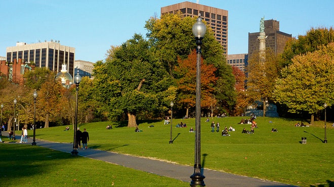 boston_common.jpg