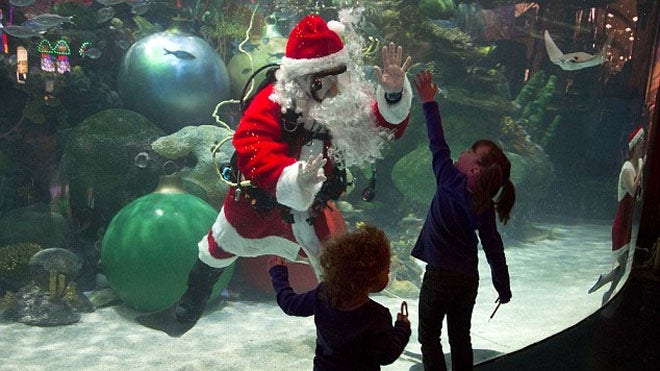 underwater_santa.jpg