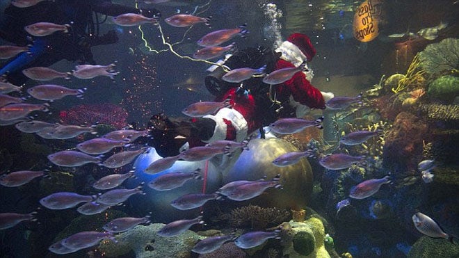 underwater_santa6.jpg