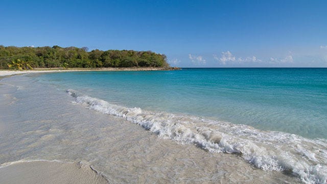vieques_puertorico_cnt_11nov11_istock_b.jpg