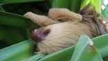 1costarica.jpg