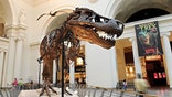 kids-who-love-dinosaurs-field-museum-chicago.jpg