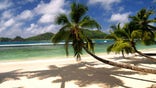 seychelles_cnt_9nov09_istock_b.jpg