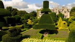 topiary-gardens-01-topiary.jpg