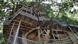 treehouse2x-large.jpg