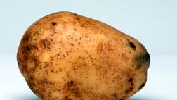 >Here’s how to replicate that irreplaceable taste at home.