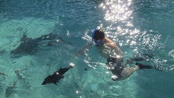 Are you ready to vacation like a movie star?