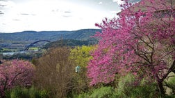 There is no better way to see America than its vast network of highways and byways. Now that gasoline prices have been drifting lower for the past month, there’s no better time than now to hit the road for a quick weekend escape.