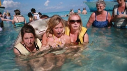 >Take a look at these travel photos that star animal photobombers with no shame in their game.